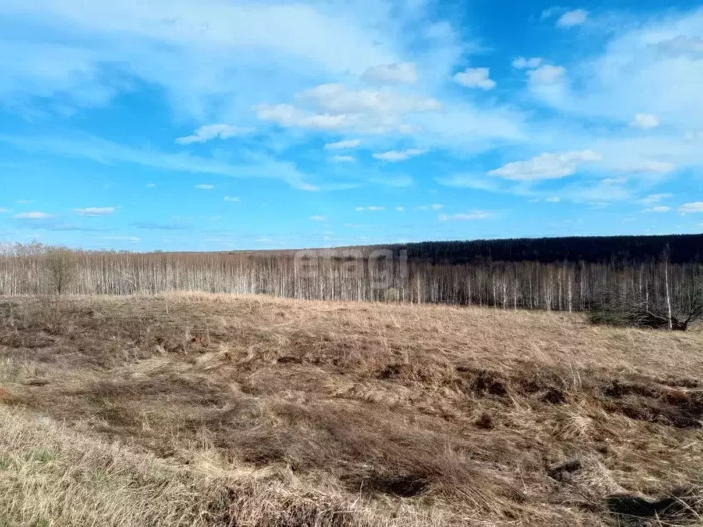 Участок в Нижегородская область, Богородский муниципальный округ, д. ... - Фото 1