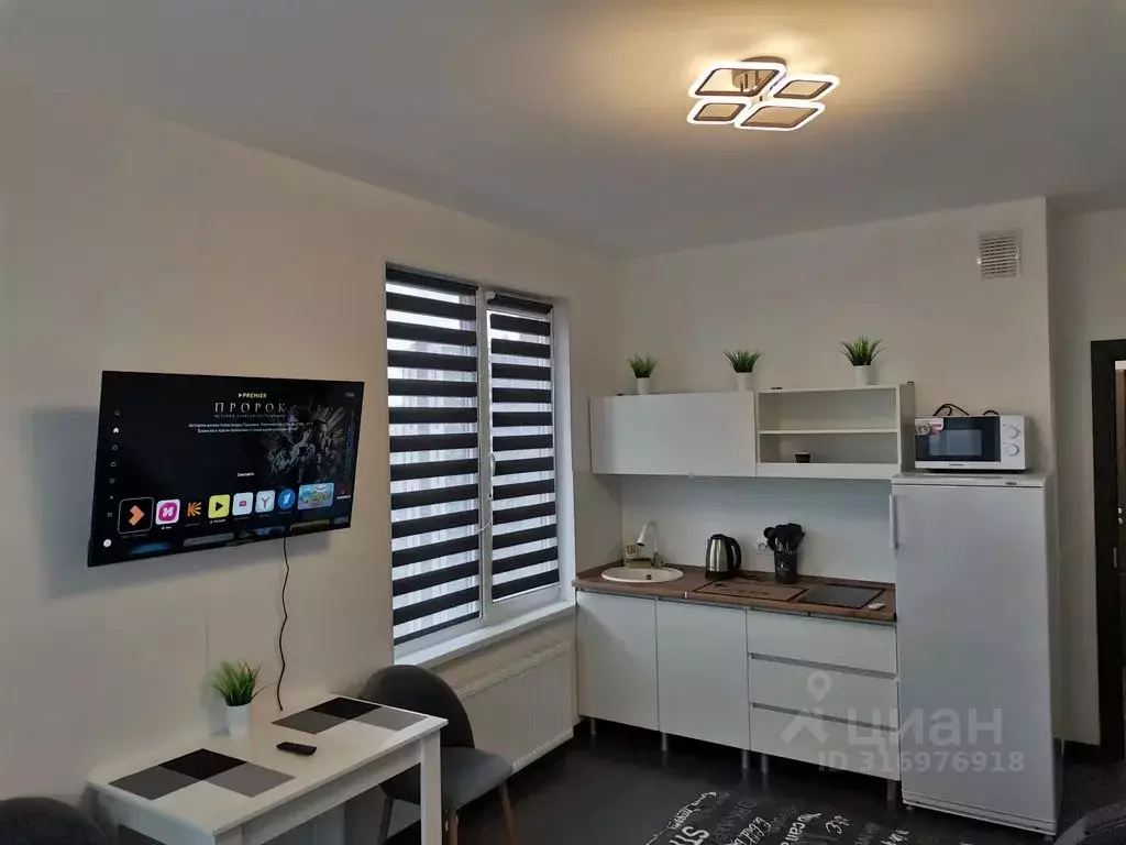 Студия Санкт-Петербург ул. Верхне-Каменская, 11к1 (27.0 м) - Фото 1