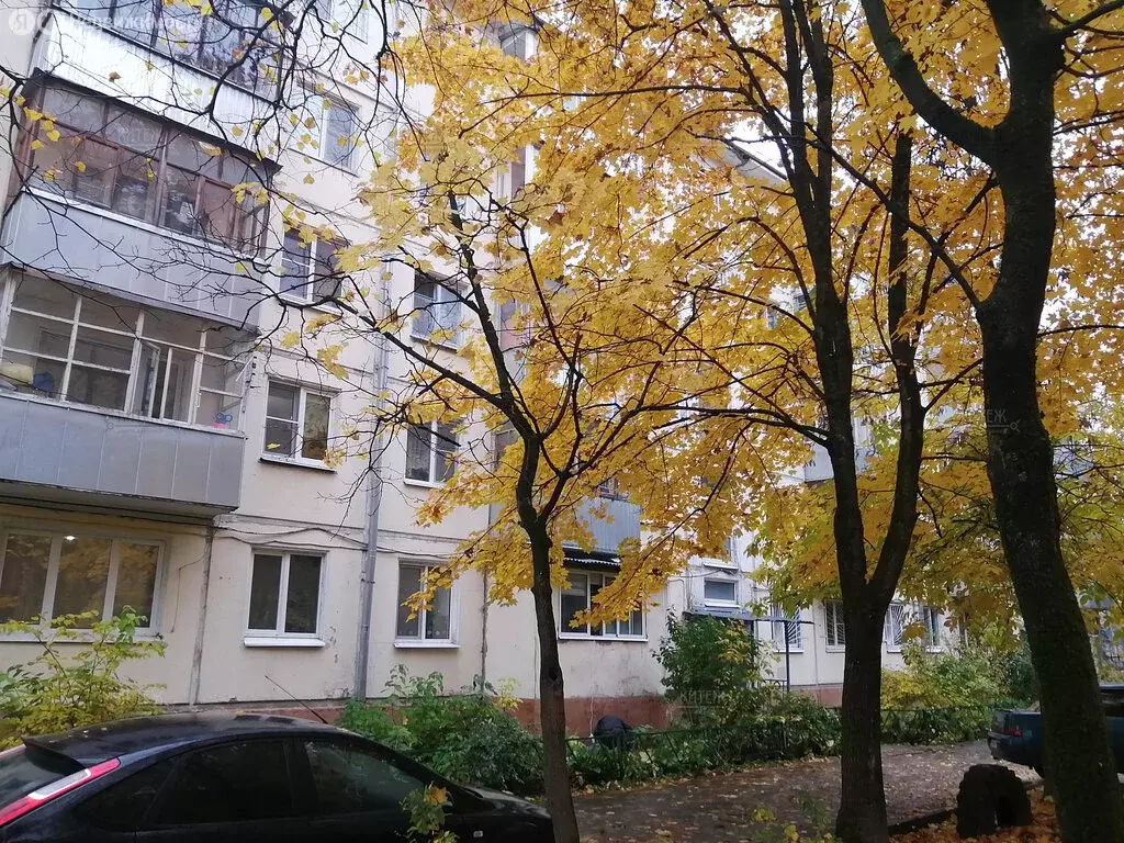 3-комнатная квартира: Калуга, улица Платова, 8 (55.5 м) - Фото 2