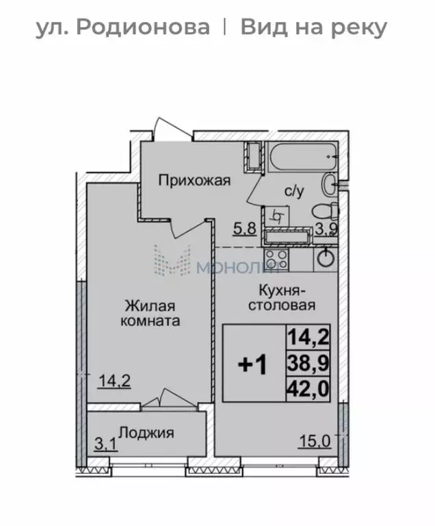 1-комнатная квартира: Нижний Новгород, улица Родионова, 31 (42 м) - Фото 1