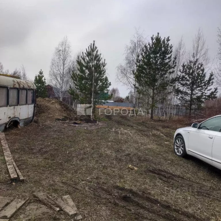 Участок в Новосибирская область, Коченевский район, Витязь садовое ... - Фото 2