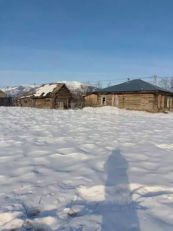 Участок в Алтай, Усть-Коксинский район, с. Катанда  (29.0 сот.) - Фото 1