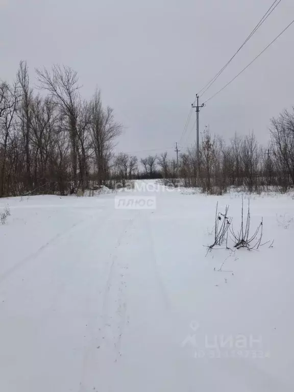 Участок в Саратовская область, Энгельсский район, Красноярское ... - Фото 1