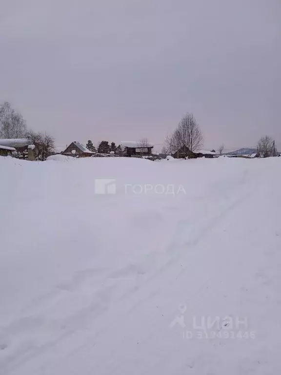 Участок в Алтай, Турочакский район, с. Озеро-Куреево Новая ул., 8 ... - Фото 1