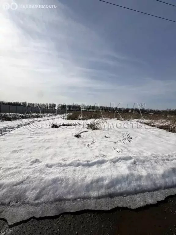 Участок в Московская область, Раменский муниципальный округ, село ... - Фото 2