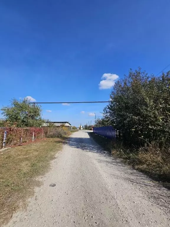 Участок в Ульяновская область, Ульяновский район, Зеленорощинское ... - Фото 2