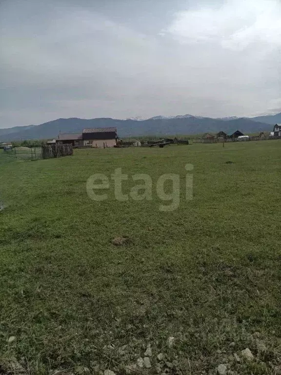 Участок в Алтай, Усть-Коксинский район, с. Усть-Кокса ул. Уймонская, ... - Фото 0