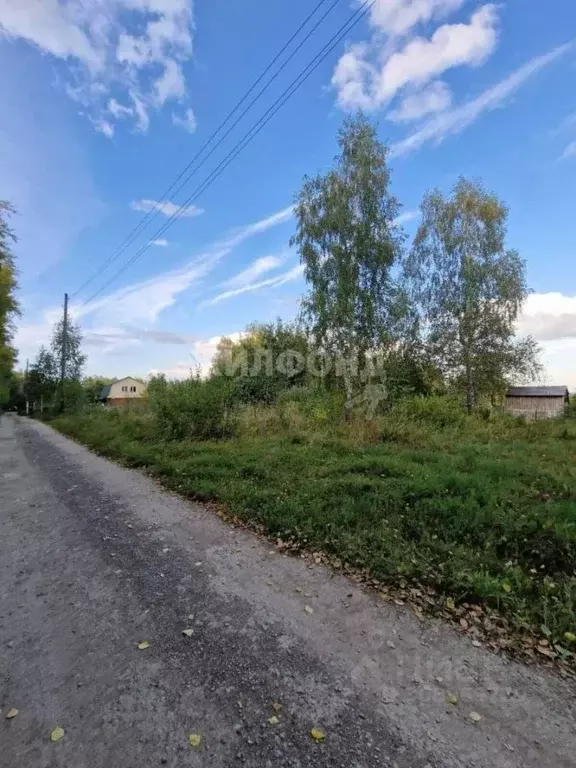 Участок в Новосибирская область, Новосибирский район, Новолуговской ... - Фото 0