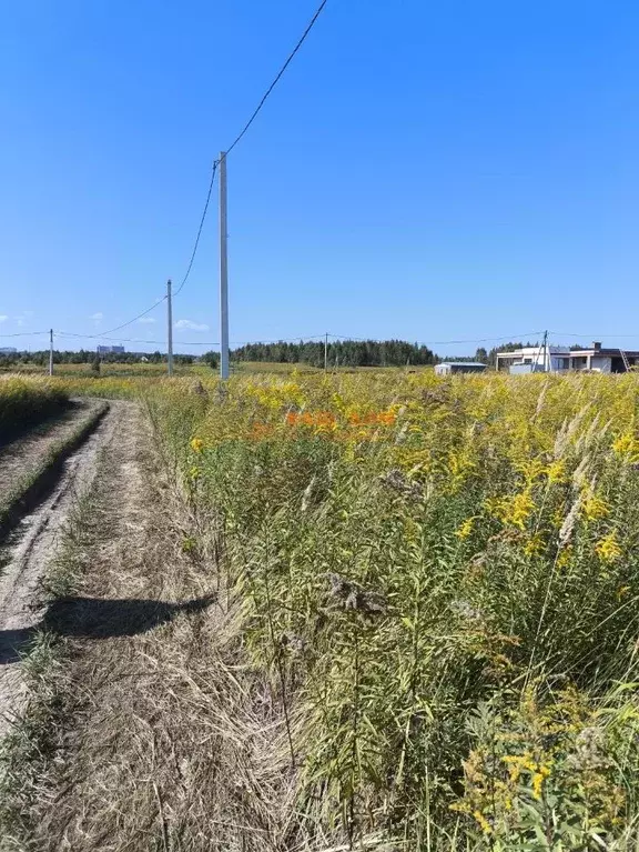 Участок в Тульская область, Тула  (11.0 сот.) - Фото 1