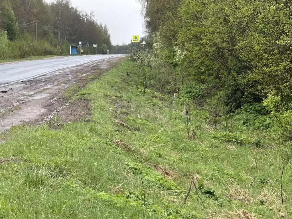 Участок в Ярославская область, Ярославский муниципальный округ, СНТ ... - Фото 1