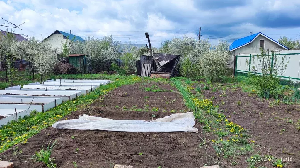 Участок в Оренбургская область, Оренбург Энергостроитель СНТ, ул. ... - Фото 2