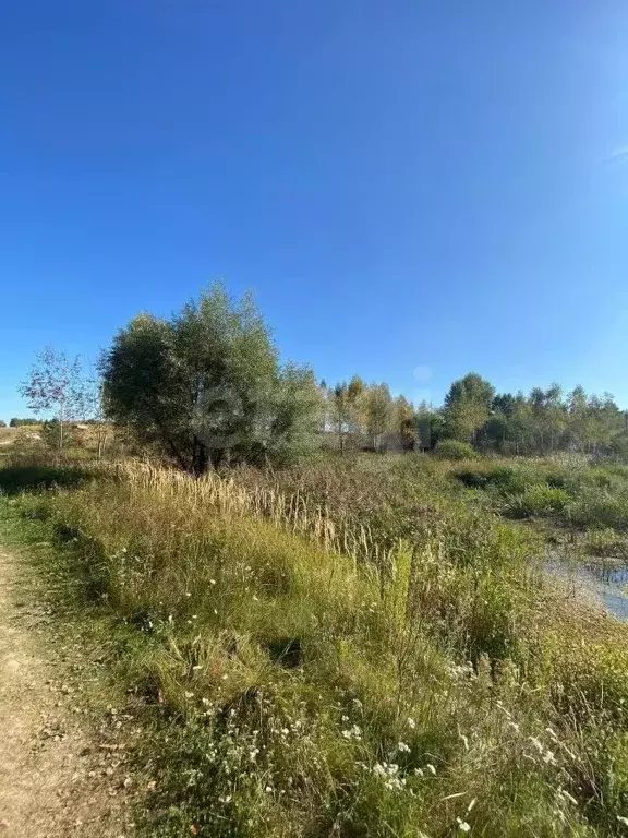 Участок в Брянская область, Выгоничский район, Хмелевское с/пос, д. ... - Фото 2