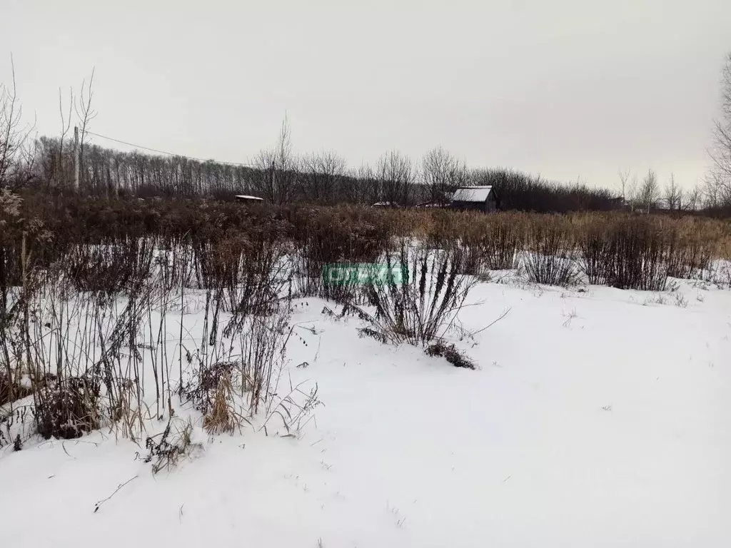 Купить Землю В Заре Пенза
