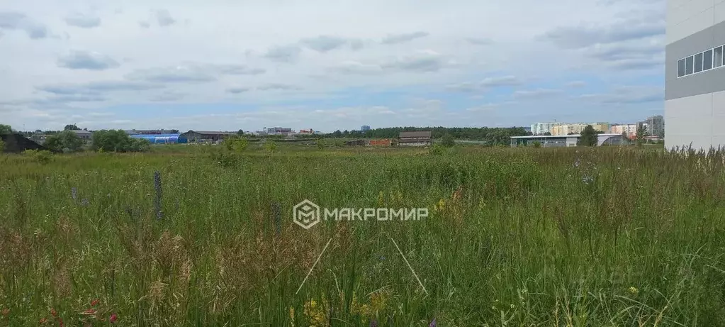 Участок в Пензенская область, Пензенский район, Засечный сельсовет, с. ... - Фото 0