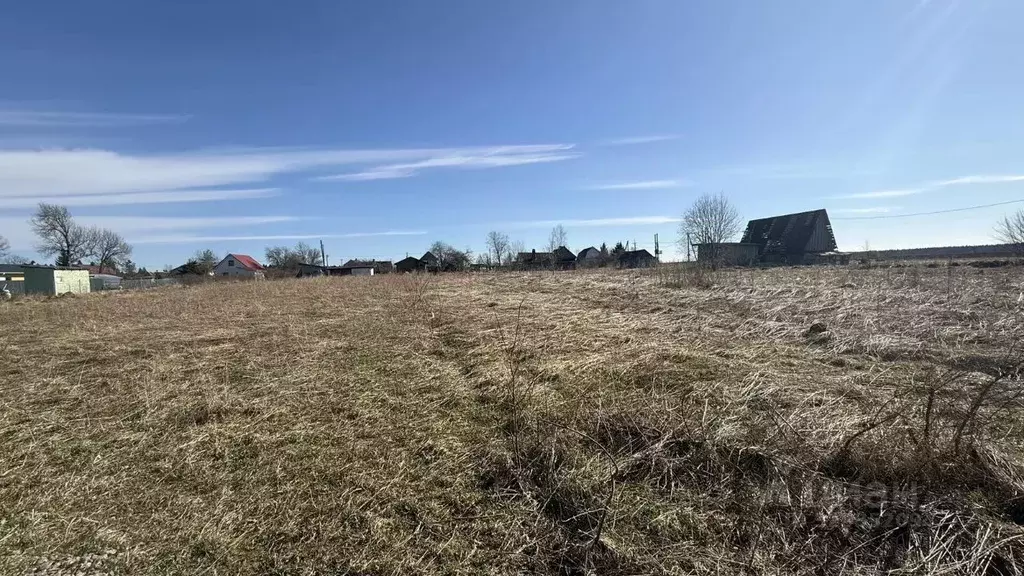 Участок в Ленинградская область, Волосовский район, Клопицкое с/пос, ... - Фото 2