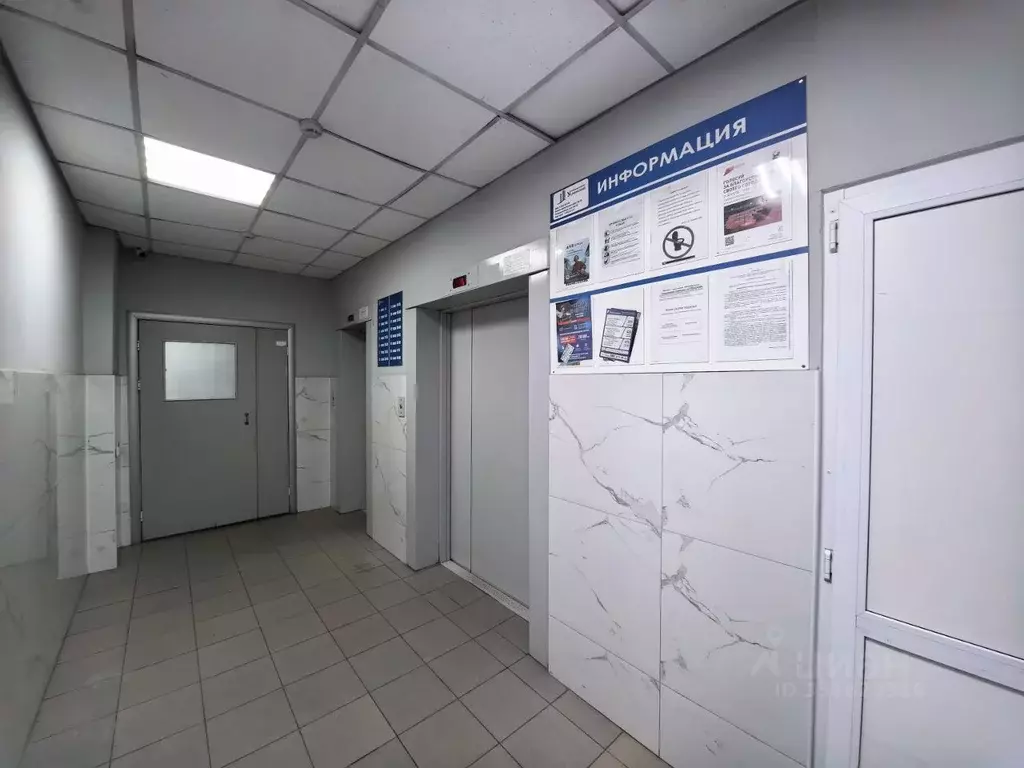 2-к кв. Иркутская область, Иркутск ул. Вагина, 17/1 (54.7 м) - Фото 2