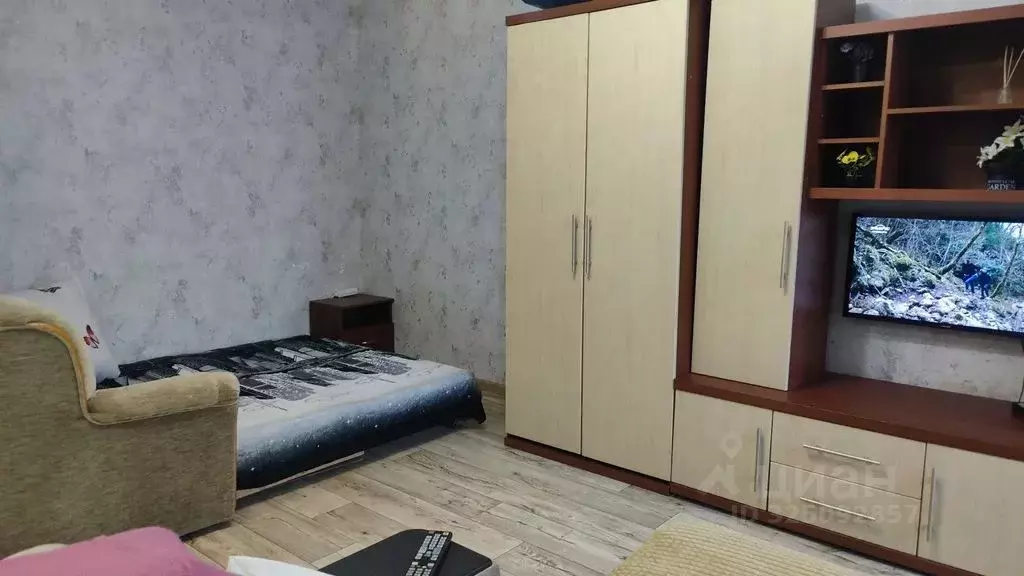 Студия Московская область, Ленинский городской округ, Лопатино пгт ... - Фото 2