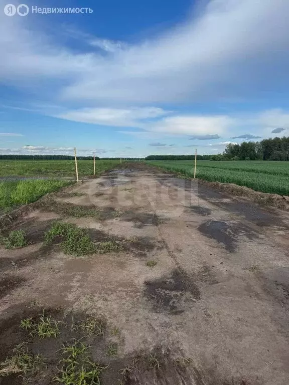 Участок в Тюменский район, село Горьковка (9.59 м) - Фото 1