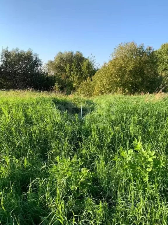 Участок в Тульская область, Новомосковск городской округ, с. Стрельцы  ... - Фото 1