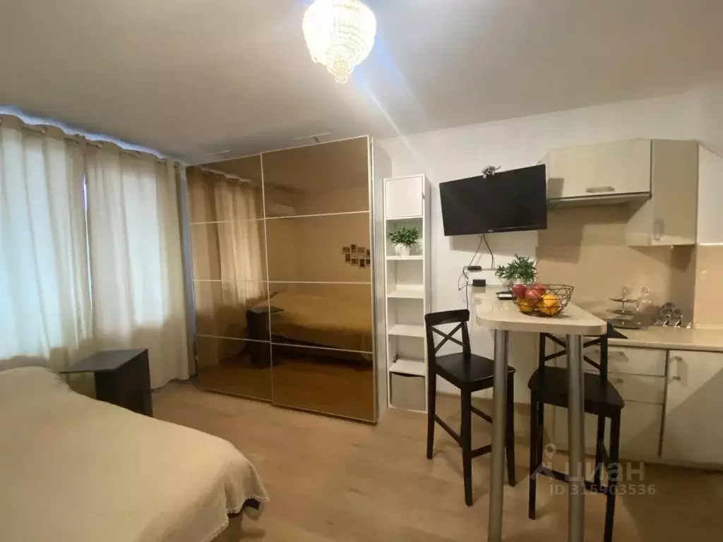 Студия Санкт-Петербург просп. Энергетиков, 9к6 (25.0 м) - Фото 0