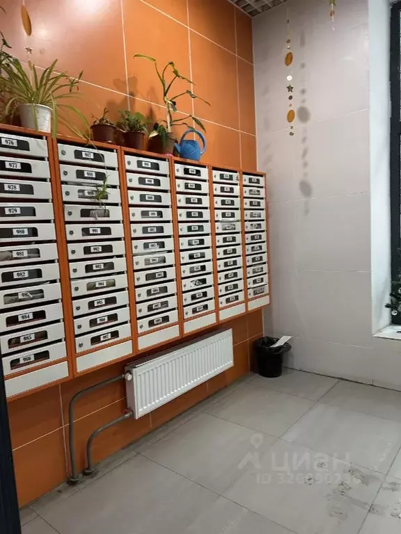 Студия Московская область, Балашиха ул. Безымянная, 16 (20.0 м) - Фото 2