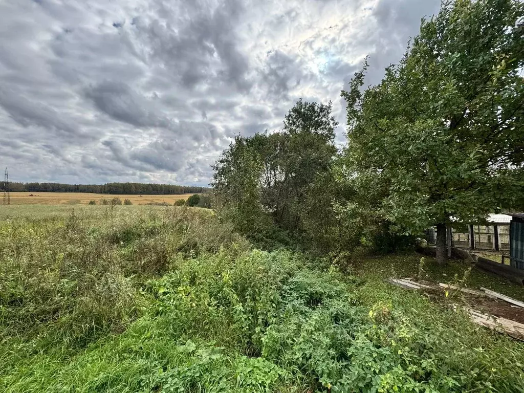 Участок в Московская область, Солнечногорск городской округ, д. ... - Фото 2