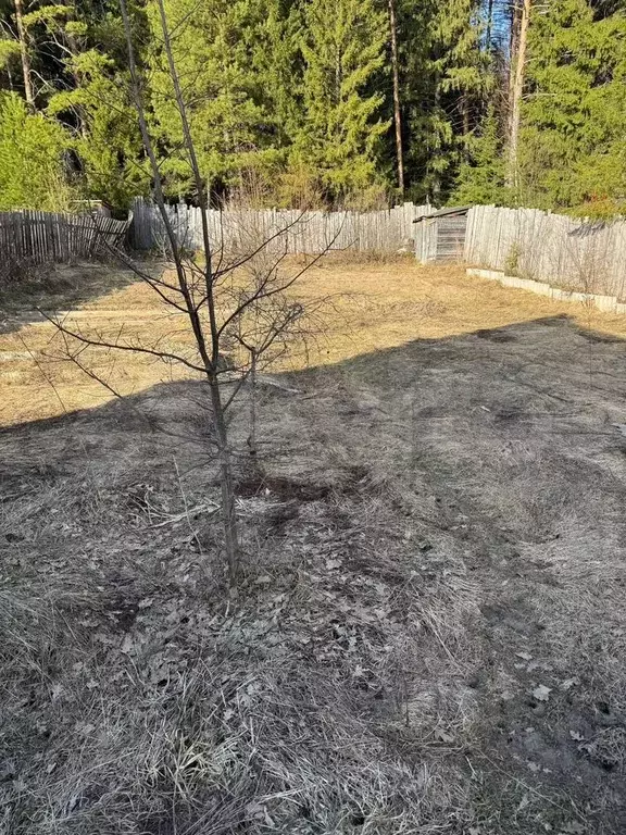 Дом 25 м на участке 6 сот. - Фото 0