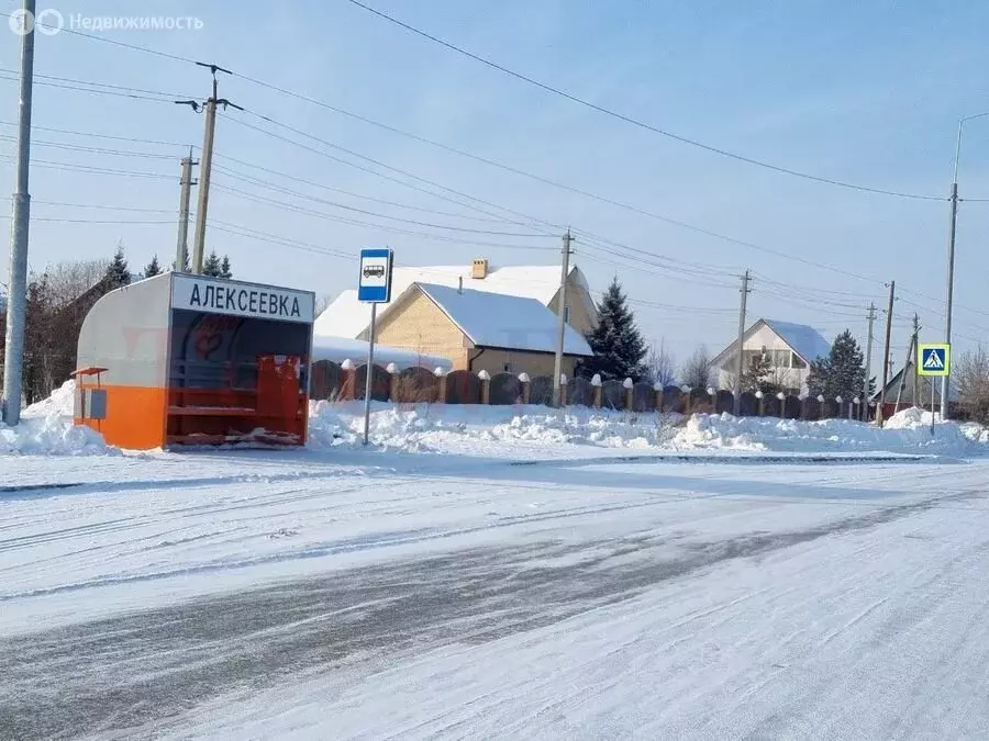 Участок в Толмачёвский сельсовет, деревня Алексеевка, Береговая улица ... - Фото 1