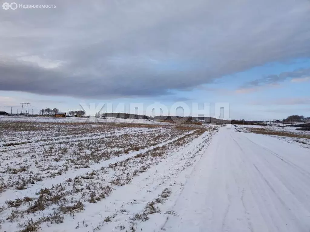 Участок в село Дрокино, Рябиновая улица (10 м) - Фото 2