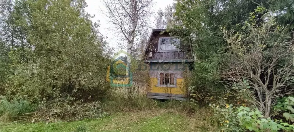 Участок в Ленинградская область, Всеволожский район, Рахьинское ... - Фото 1