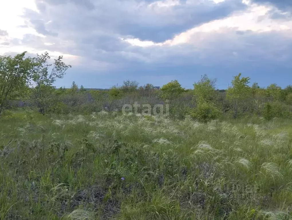 Участок в Башкортостан, Чишминский район, Аровский сельсовет, ... - Фото 0