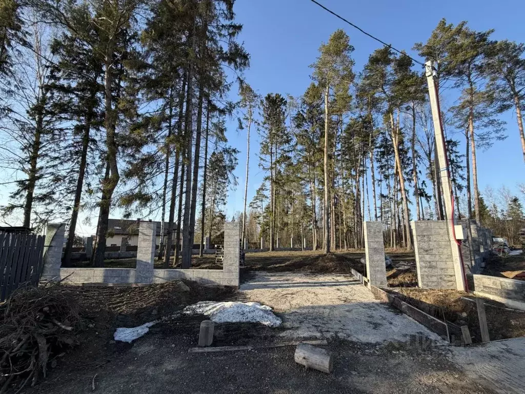 Участок в Московская область, Пушкинский городской округ, д. Костино, ... - Фото 1