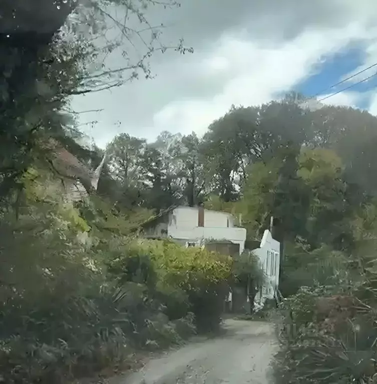 Участок в Краснодарский край, Сочи городской округ, с. Орел-Изумруд  ... - Фото 2