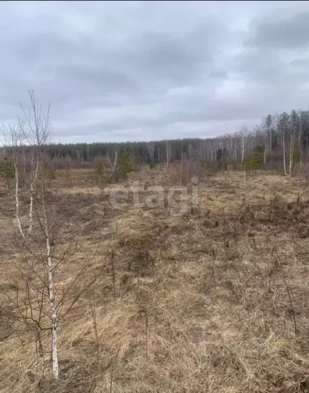 Участок в Свердловская область, Сысертский муниципальный округ, Протон ... - Фото 1