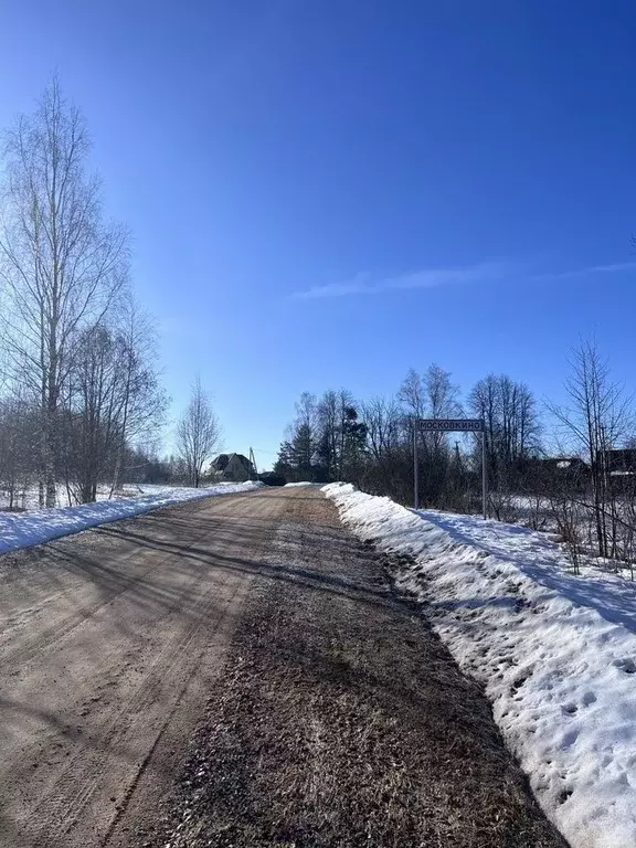 Участок в Московская область, Шаховская муниципальный округ, д. ... - Фото 1