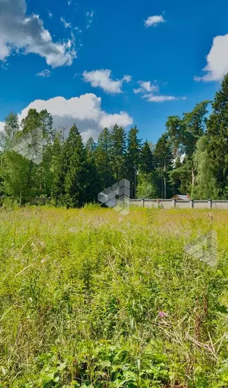 Участок в Московская область, Одинцовский городской округ, ... - Фото 1