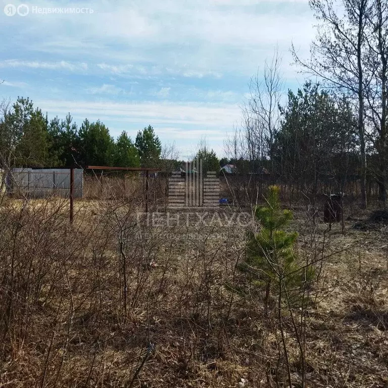 Участок в Владимирская область, Суздальский муниципальный округ, СНТ ... - Фото 2