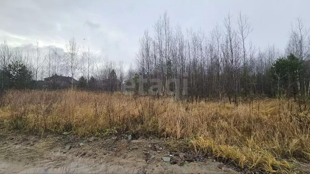 Участок в Татарстан, Казань Лесная Поляна кп,  (10.0 сот.) - Фото 2