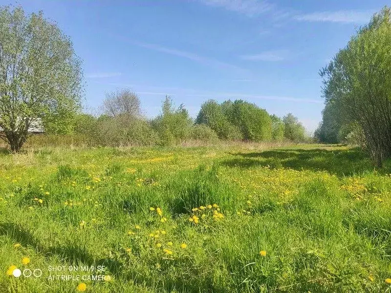 Участок, 16 сот., 0 - Фото 1