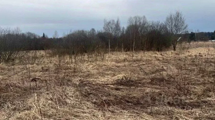 Участок в Московская область, Истра муниципальный округ, д. Чаново  ... - Фото 1