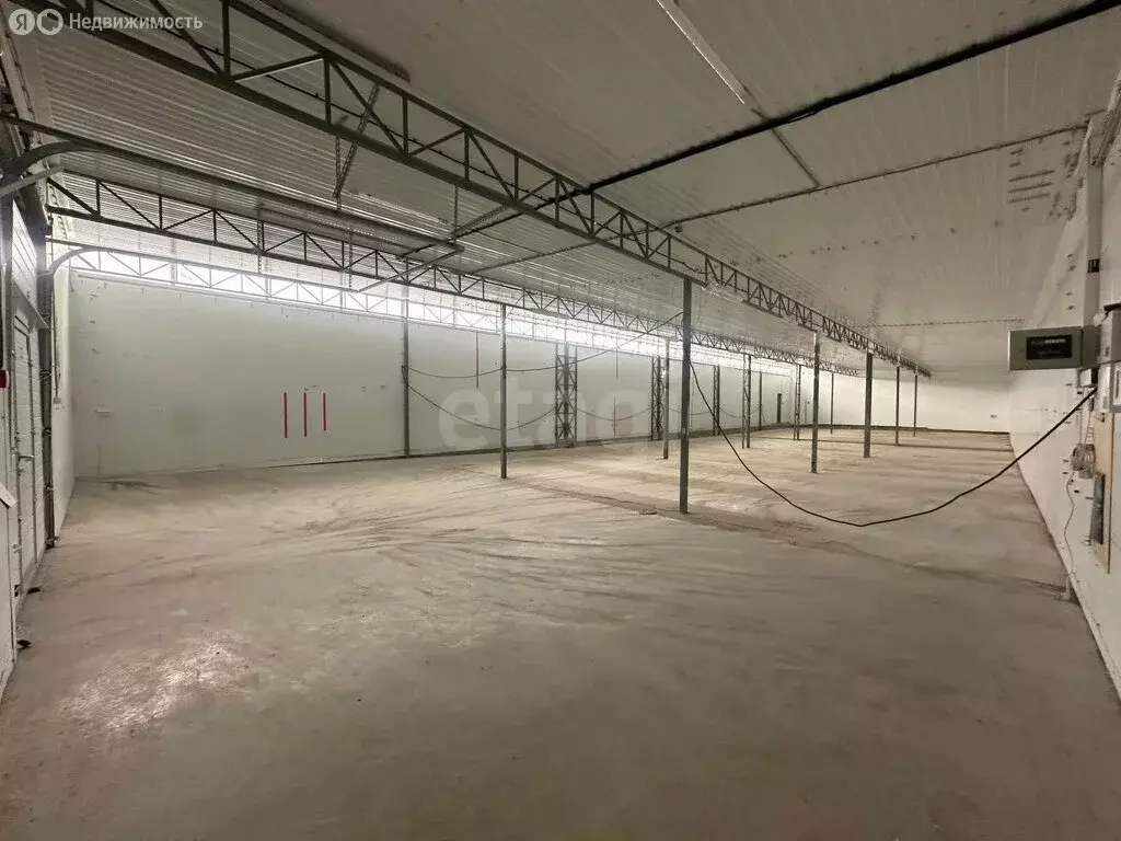 Помещение свободного назначения (660 м) - Фото 1