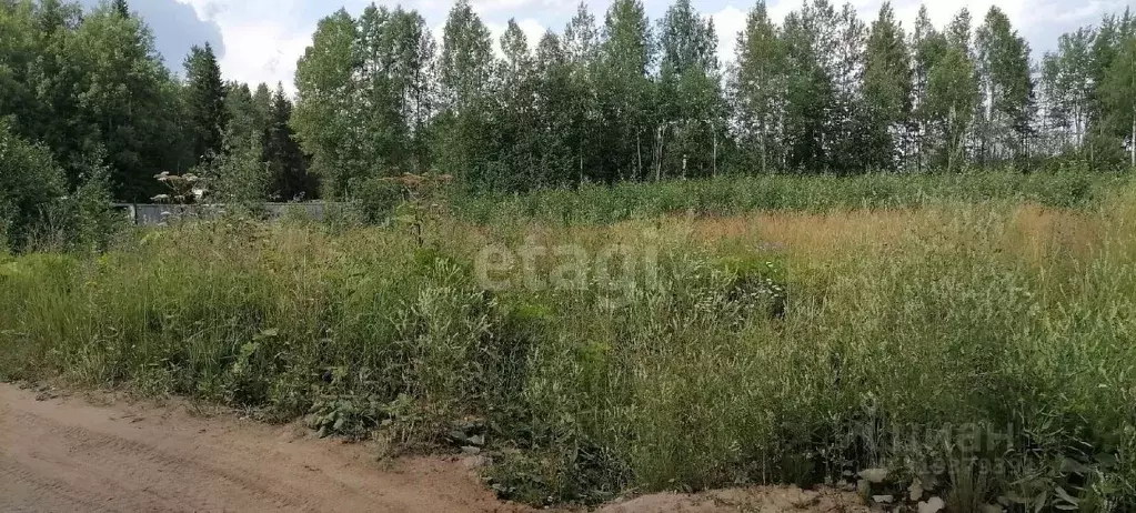 Участок в Коми, Сыктывдинский район, Выльгорт муниципальное ... - Фото 1