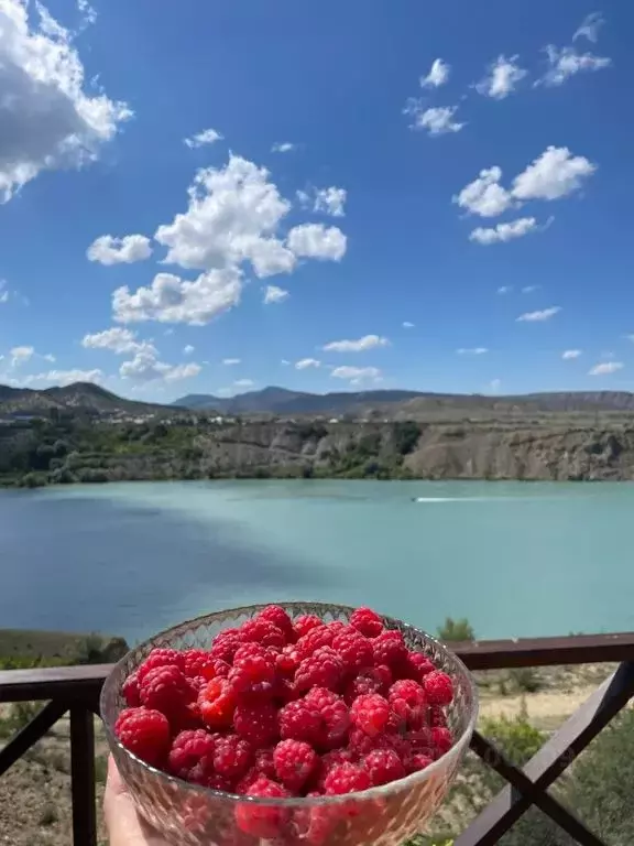 Дом в Дагестан, Казбековский район, с. Ново-Зубутли ул. ... - Фото 1