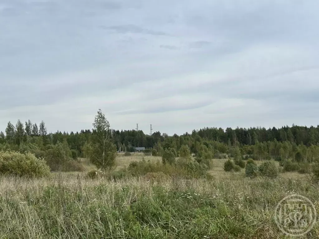 Участок в Ленинградская область, Ломоносовский район, Низинское с/пос, ... - Фото 0