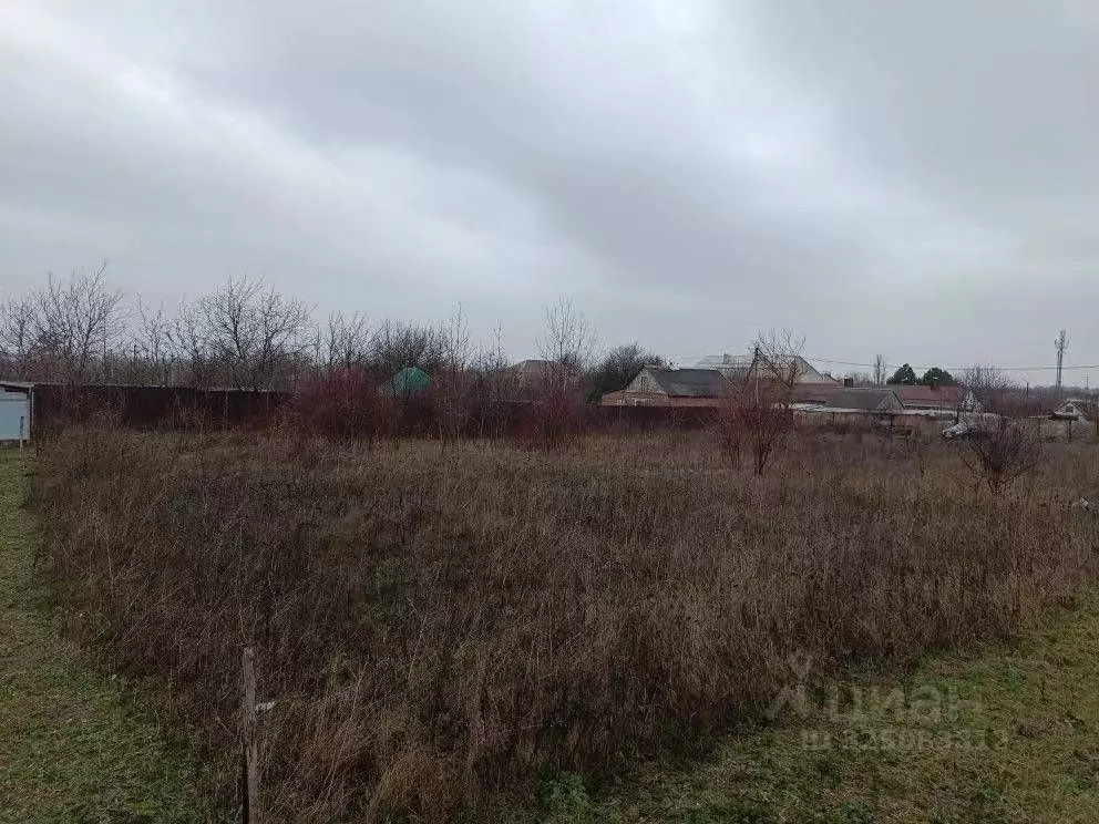 Участок в Краснодарский край, Тихорецкий район, Алексеевское с/пос, ... - Фото 1