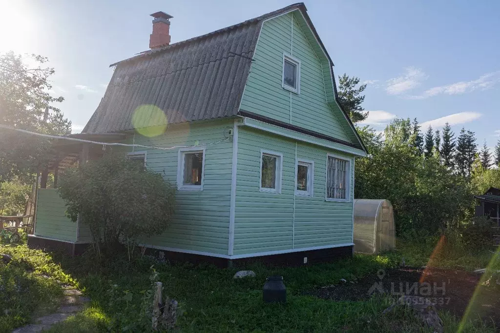 Купить Дачу Лужский Район Мшинская