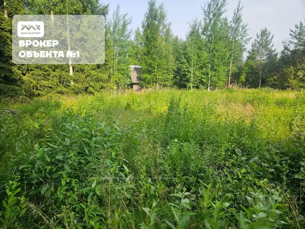 Участок в Ленинградская область, Выборгский район, Красносельское ... - Фото 2