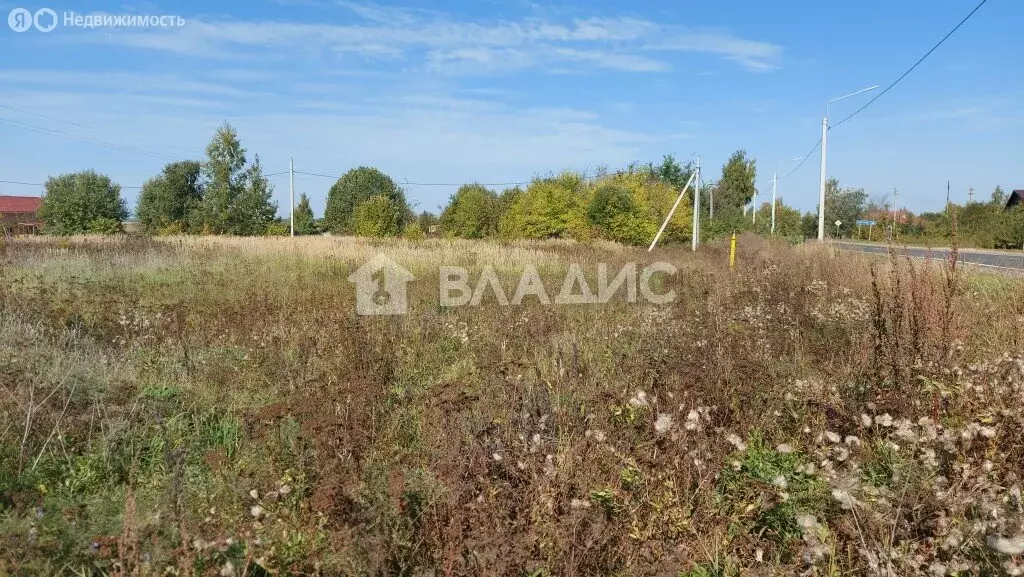 Участок в Суздальский район, муниципальное образование Селецкое, село ... - Фото 0