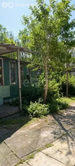Участок в село Чигири, Солнечная улица (11.56 м) - Фото 1