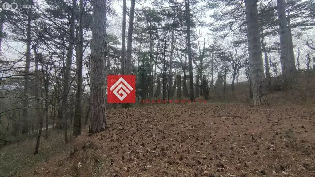 Участок в Республика Крым, муниципальный округ Ялта, посёлок ... - Фото 2